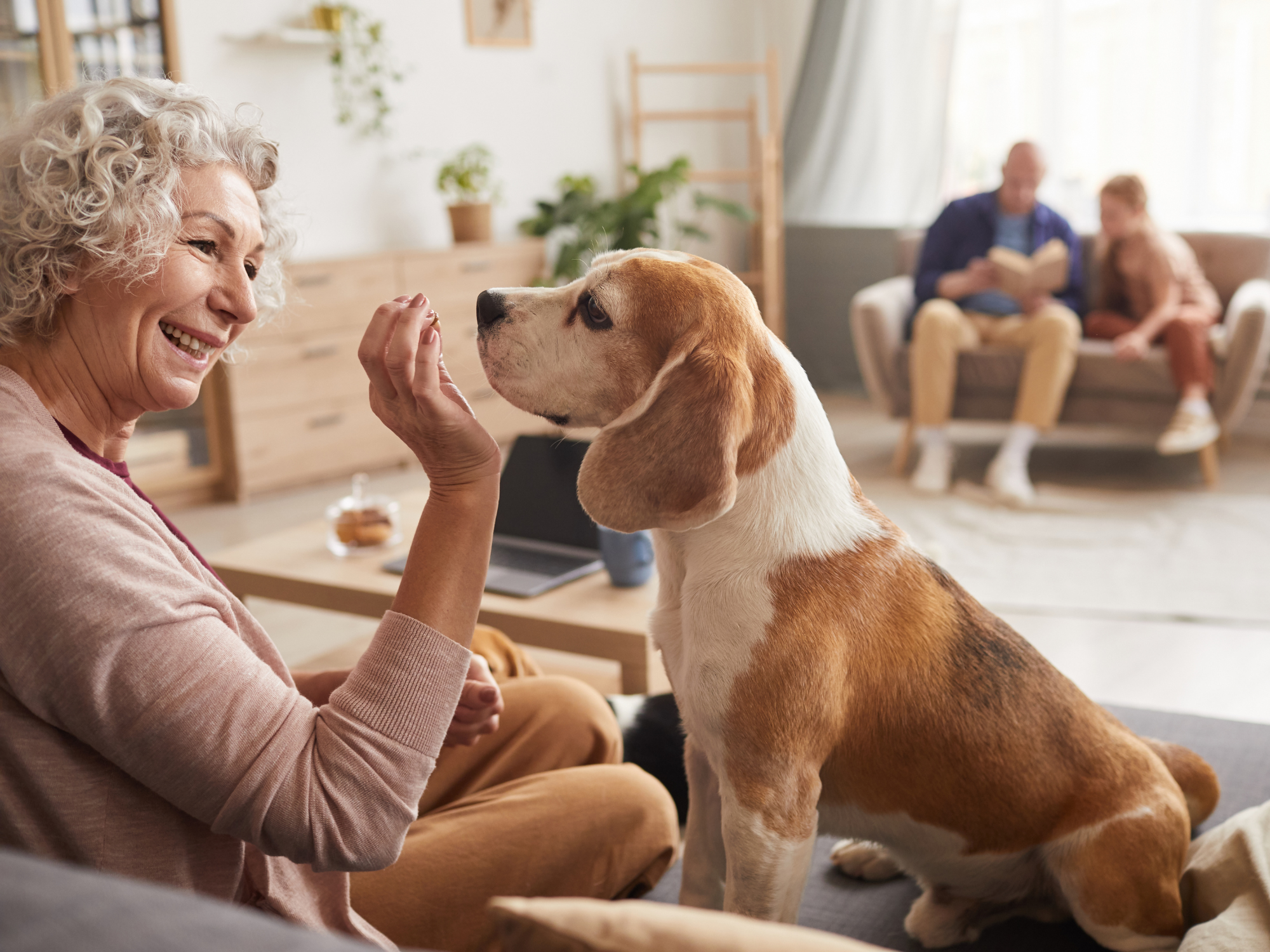 Domande Comuni per Chi Considera un Sistema di Sicurezza con Animali Domestici in Casa